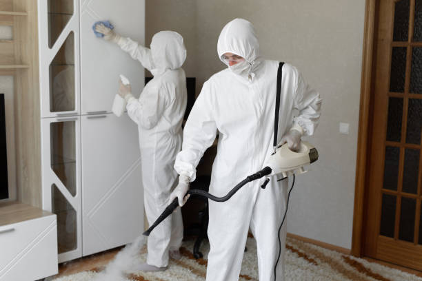 Best Commercial Mold Remediation in Grove City, OH